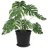 Imagen en miniatura del producto 3 de 12