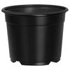 vidaXL Maceta Redonda para Flores 200 uds. Negro &Oslash; 10 x 8 cm Pl&aacute;stico
