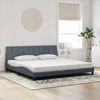 vidaXL Estructura de cama sin colch&oacute;n Hanko terciopelo gris oscuro 200x200 cm