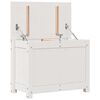vidaXL Caja de almacenaje madera maciza de pino blanco 60x32x45,5 cm