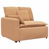 vidaXL M&oacute;dulo de reposabrazos para sof&aacute; modular con cojines, color beige, 100 cm
