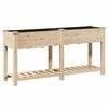 vidaXL Macetero de Jard&iacute;n con estante Beige 161 x 43 x 76,5 cm