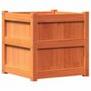 vidaXL Jardineras de exterior 2 uds madera maciza de pino marr&oacute;n cera