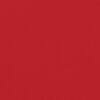 vidaXL Toldo lateral retr&aacute;ctil rojo 200x1200 cm