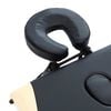 vidaXL Camilla de masaje plegable 3 zonas aluminio negro y beige