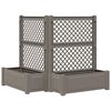 vidaXL Maceta Grande con Trellis 2 uds. PP Gris