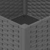 Imagen en miniatura del producto 6 de 8