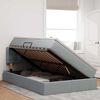 vidaXL Cama con almacenamiento y LED Gris Claro 120 x 190 cm tela