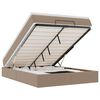 vidaXL Estructura cama otomana colch&oacute;n cappucino cuero sint&eacute;tico