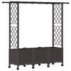 vidaXL Cama elevada con trellis y techo Marr&oacute;n 162,5 x 40 x 142 cm PP