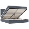 vidaXL Estructura cama otomana colchones terciopelo gris oscuro