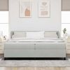 vidaXL Cama tipo Box Spring Gris claro 200 x 200 cm Terciopelo