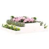 Imagen en miniatura del producto 3 de 7