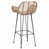 vidaXL Silla de Bar 2 pcs Natural 55 x 52 x 92 cm Ratan e Hierro