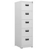 vidaXL Armario archivador de acero gris claro 46x62x164 cm