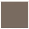 vidaXL Estor Enrollable Opaco Color Caf&eacute; 165x130 cm Tela Ancho 161,6cm