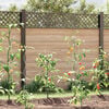 Imagen en miniatura del producto 3 de 9