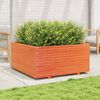 vidaXL Jardinera madera maciza de pino marr&oacute;n cera 100x100x49,5 cm