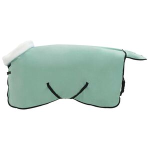 vidaXL Manta para Caballo Verde especial 75 cm Forro polar