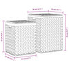 Imagen en miniatura del producto 12 de 12