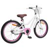 vidaXL Bicicleta Infantil 20 Pulgadas para 6-11 a&ntilde;os