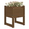 vidaXL Jardinera 2 uds madera maciza de pino marr&oacute;n miel 40x40x52,5 cm