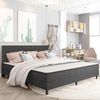 vidaXL Estructura de cama Box Spring sin colch&oacute;n tela gris 200x200 cm