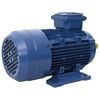 vidaXL Motor el&eacute;ctrico trif&aacute;sico aluminio 2,2kW/3HP 2 polos 2840 RPM