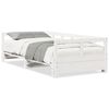 vidaXL Sof&aacute; cama sin colch&oacute;n madera maciza de pino blanco 80x200 cm