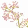 Imagen en miniatura del producto 2 de 2