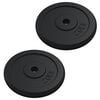 vidaXL Discos de pesas hierro fundido 40 kg