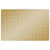vidaXL Cabezal ducha efecto lluvia acero inox cuadrado dorado 30x20cm