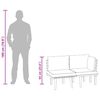 vidaXL Set muebles de jardín 2 pzas con cojines madera maciza acacia