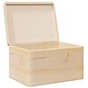 vidaXL Caja de madera con tapa madera maciza de pino 40x30x23 cm