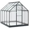 vidaXL Invernadero de Jard&iacute;n Gris antracita 183,5 x 243,5 x 207 cm