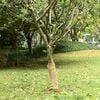 Imagen en miniatura del producto 2 de 7