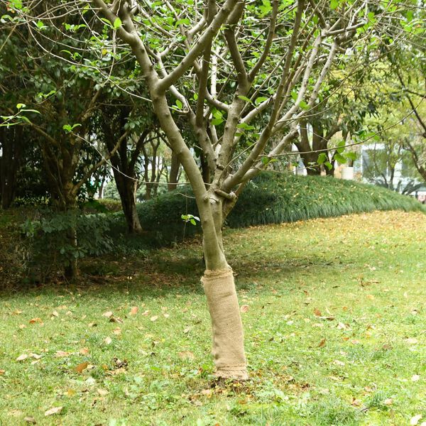 Mostrando imagen del producto 2 de 7