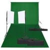 vidaXL Kit de estudio fotogr&aacute;fico con set de luces y fondo