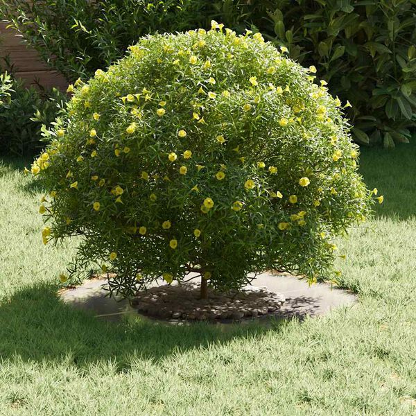 vidaXL adecuado para Anillo de Árbol Plano Plateado Ø30 / 60 cm