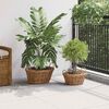 vidaXL Cesta para Plantas con almacenamiento 2 pcs Marr&oacute;n Ratan Lacak