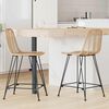 vidaXL Silla de Bar 2 pcs Natural 44,5 x 54,5 x 97,5 cm Ratan e Hierro