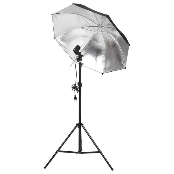 vidaXL Kit de estudio fotográfico con set de luces y fondo