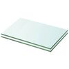 vidaXL Estantes 2 unidades panel de vidrio transparente 20x25 cm