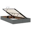 vidaXL Cama con almacenamiento y colch&oacute;n Gris oscuro 120 x 190 cm tela