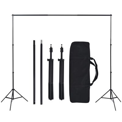 vidaXL Kit de estudio fotográfico con telón de fondo y set de luces