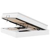 vidaXL Cama con almacenamiento y colch&oacute;n 160 x 200 cm Cuero sint&eacute;tico