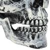 Imagen en miniatura del producto 7 de 8