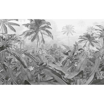 Komar Mural fotográfico Amazonia negro y blanco 400x250 cm