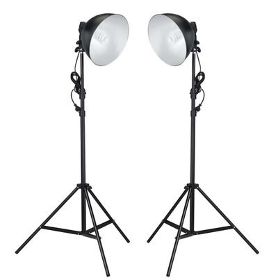vidaXL Kit de estudio fotográfico con luz de estudio y telón de fondo
