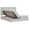 vidaXL Cama con almacenamiento Gris Claro 200 x 200 cm Terciopelo